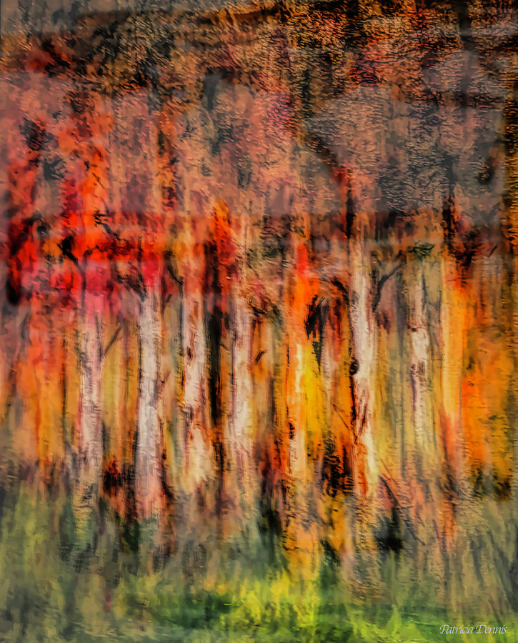 Birches Mixed Media by Patricia Dennis