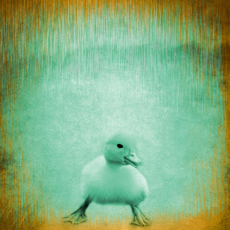 Bird 4 Digital Art