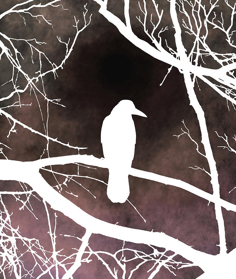 Bird 79 Crow Raven Digital Art by Lucie Dumas