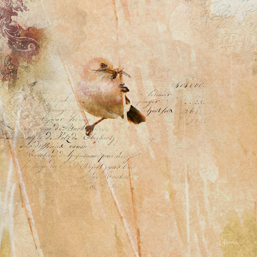 Bird and Bug Digital Art by Cindy Collier Harris