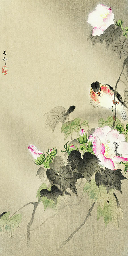 Ohara Koson Painting - Bird and caterpillar by Ohara Koson
