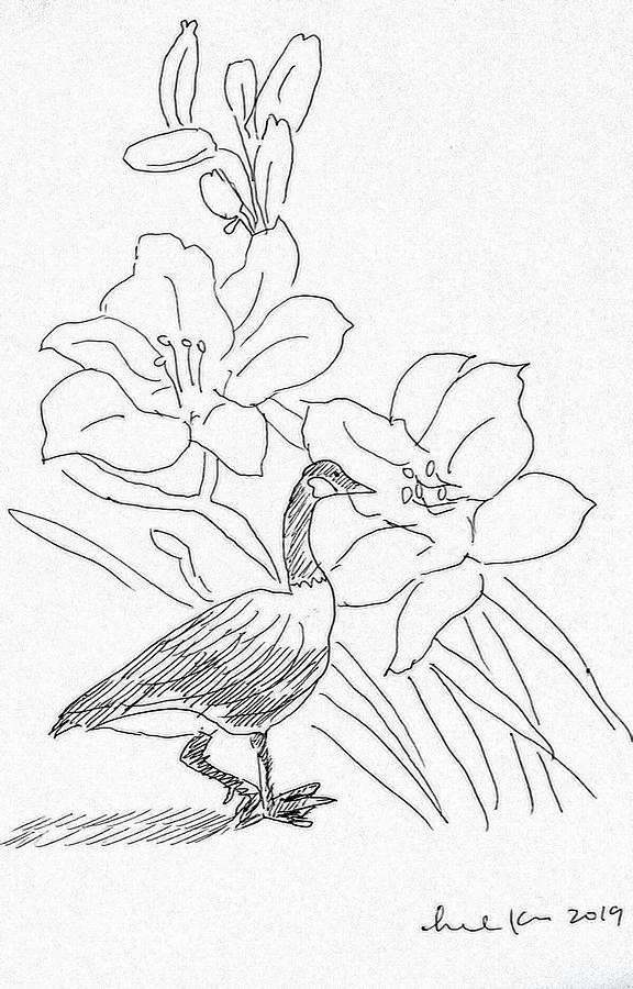  Bird and flower Drawing by Hae Kim