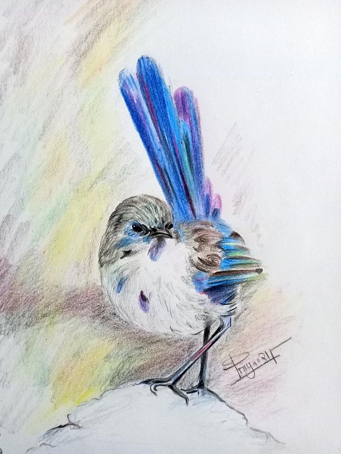 Bird blue Drawing by Priya Garg