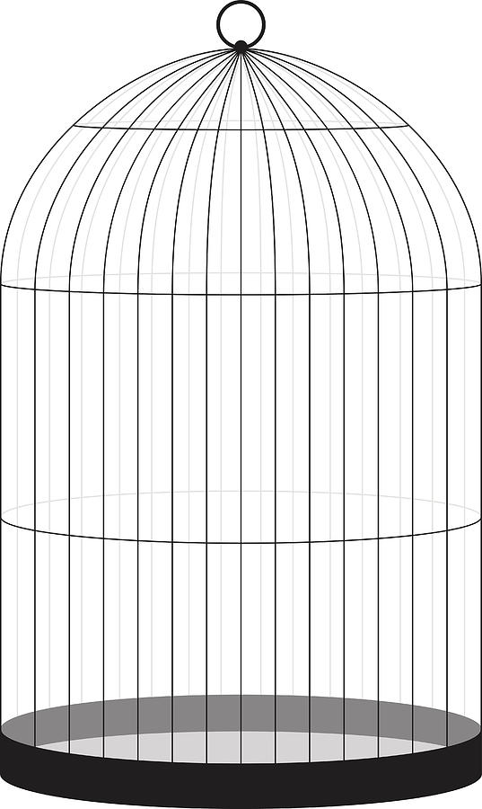 Bird Cage Drawing by Rustemgurler