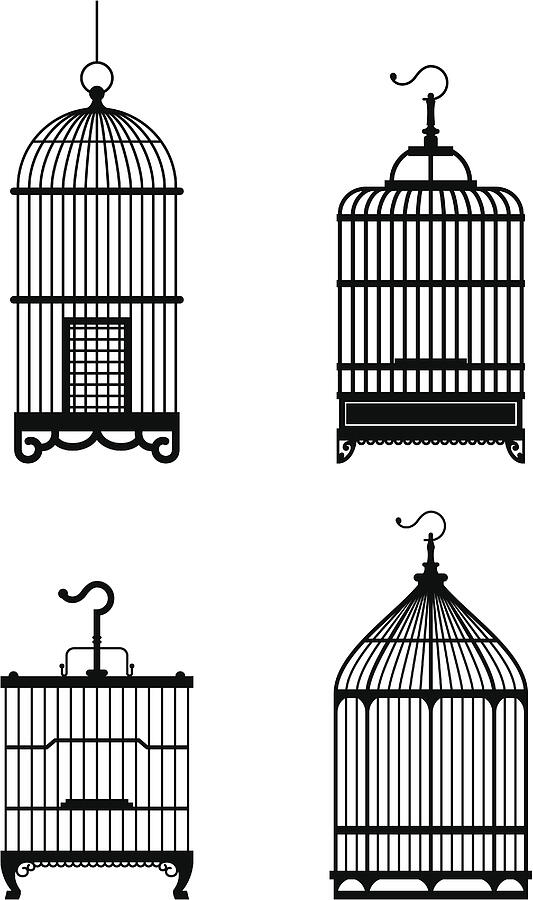 Bird Cage Drawing by Visualgo