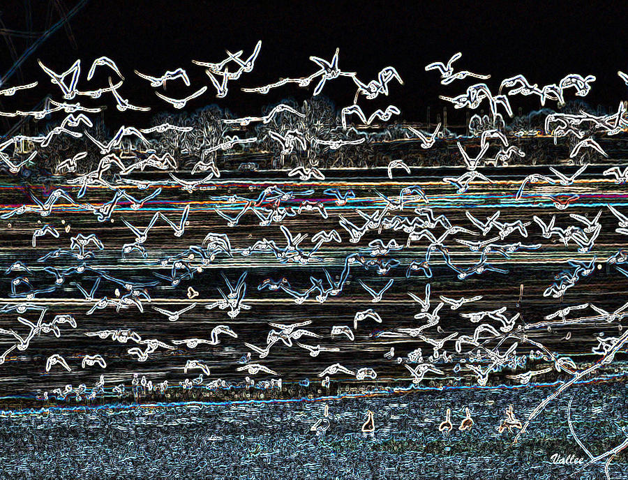 Bird Crazy Painting by Vallee Johnson Bird Crazy Painting by Vallee Johnson