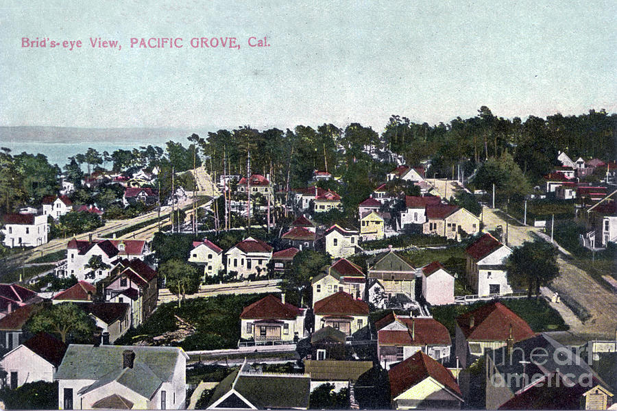Bird Eye Photograph - Bird Eye view  of Pacific Grove 1906 by Monterey County Historical Society