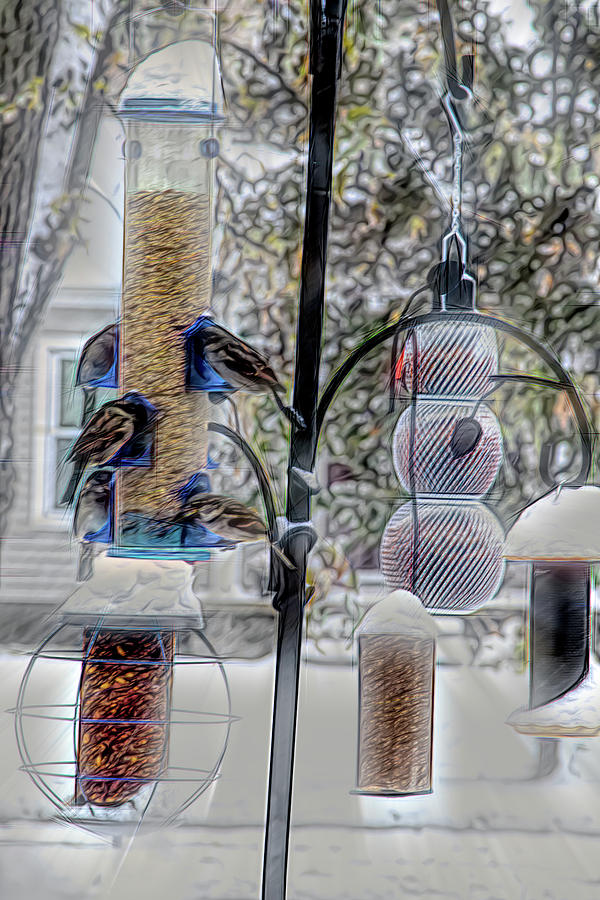 Bird Feeders For Winter Photograph by Melvin Busch Fine Art America
