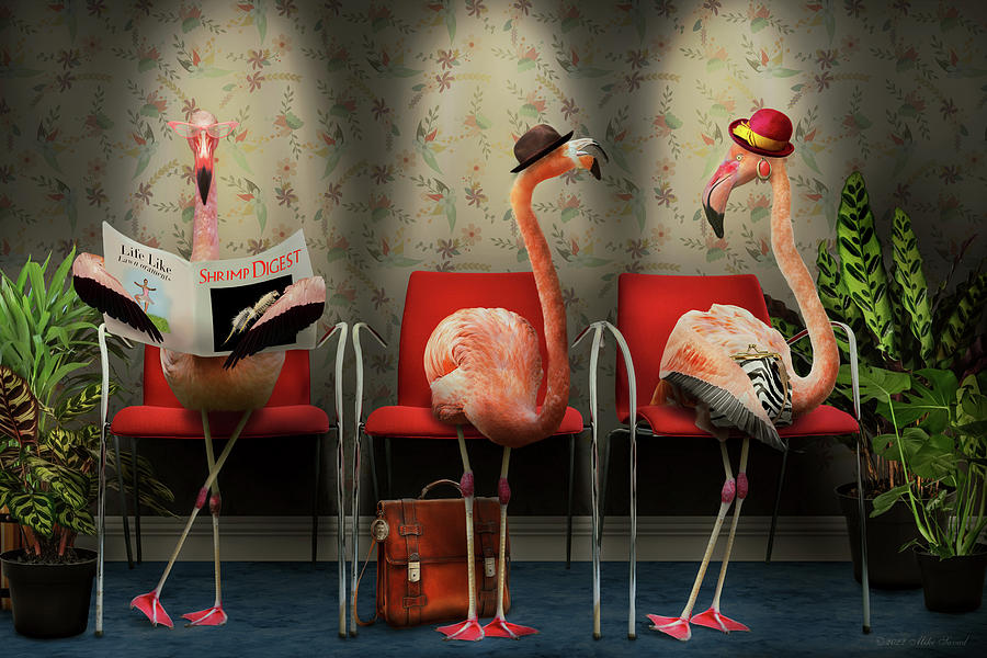 Bird - Flamingo - Wading room Photograph by Mike Savad