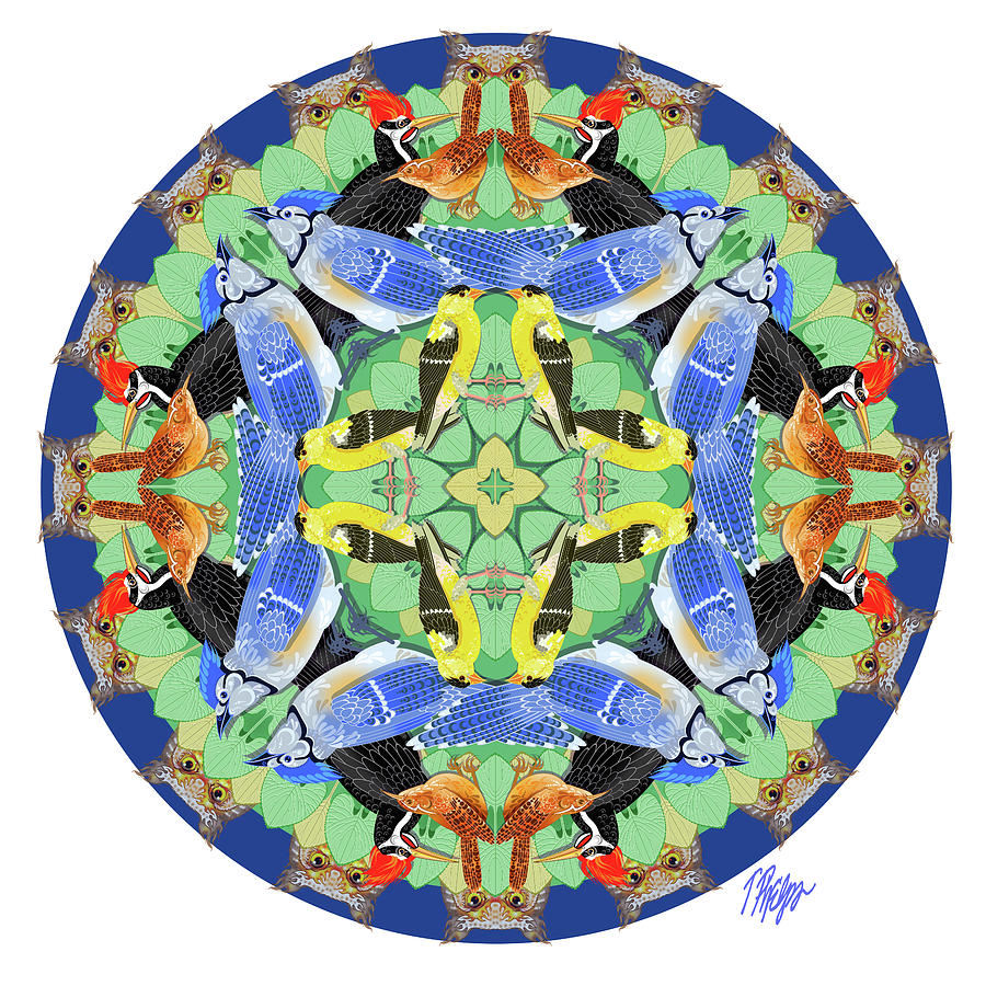 Bird Forest Nature Mandala Digital Art by Tim Phelps