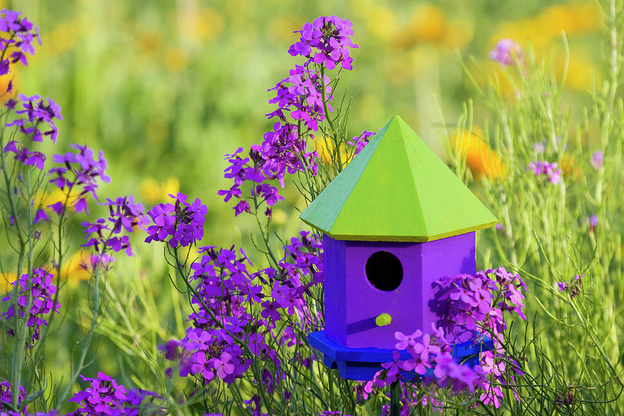 Bird house and Wildflowers Photograph by Eggers Photography