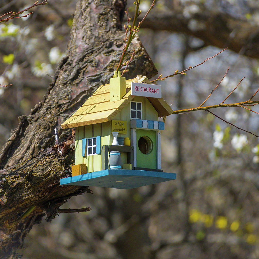 Bird House Diner Photograph by Mark Mille