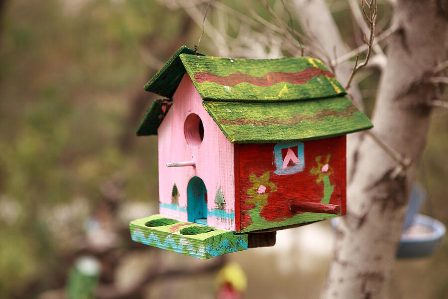 Bird house hanging from tree Photograph by Jacobo Zanella