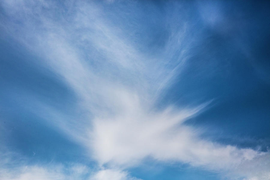 Bird in Flight Cloudscape Photograph by Debra and Dave Vanderlaan