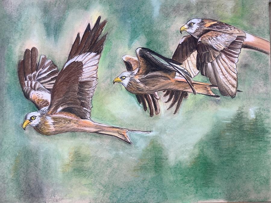 Bird in flight Pastel by Teresa Smith