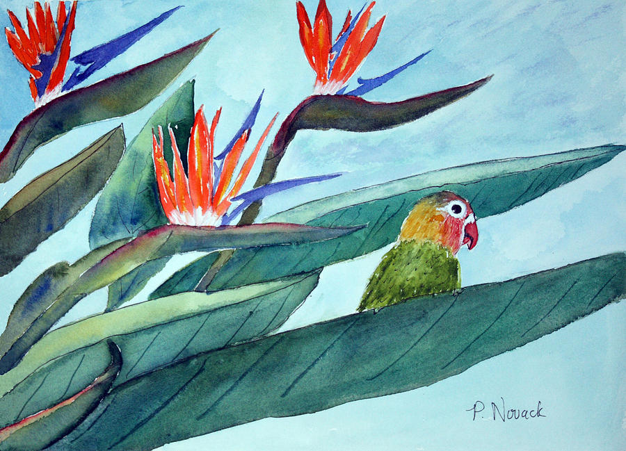 Bird In Paradise Painting by Patricia Novack