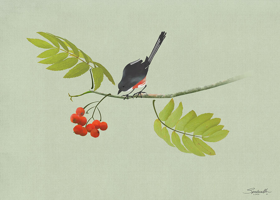 Bird in Rowan Tree Mixed Media by M Spadecaller