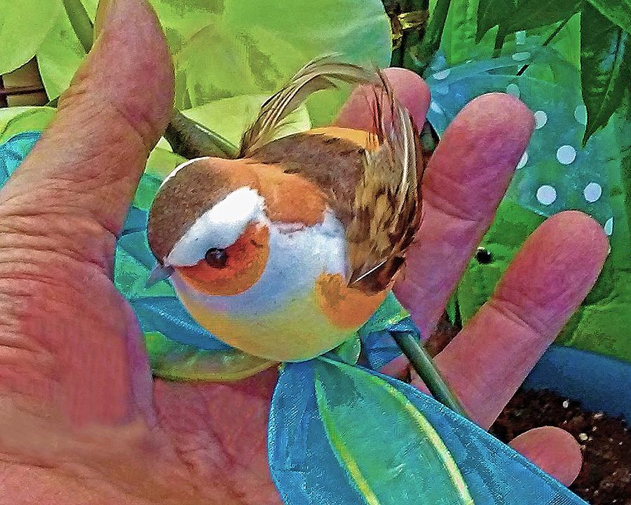 Bird In The Hand Photograph by Andrew Lawrence