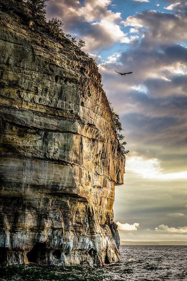 Bird in the Light at the Pictured Rocks Photograph by William Christiansen