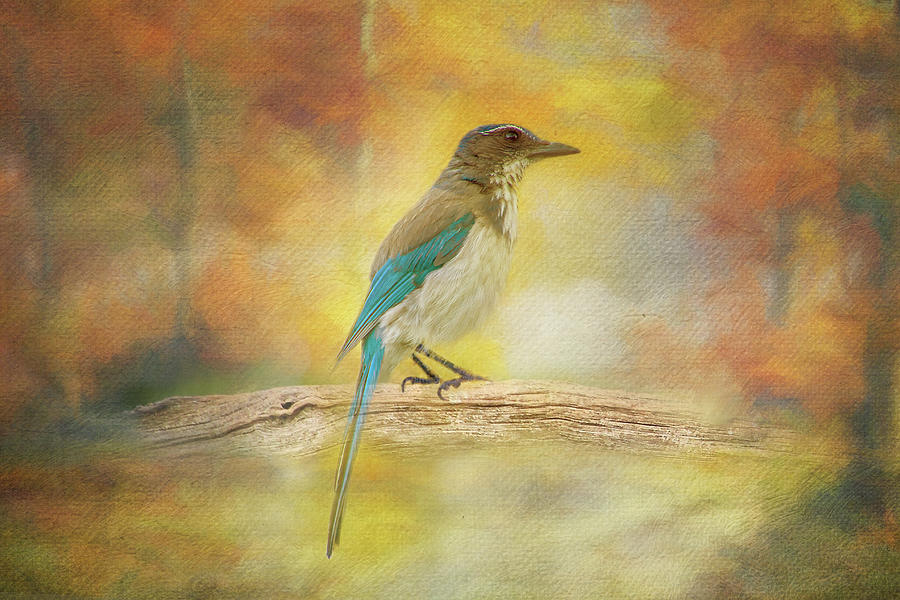 Bird in the Woods Digital Art by Terry Davis