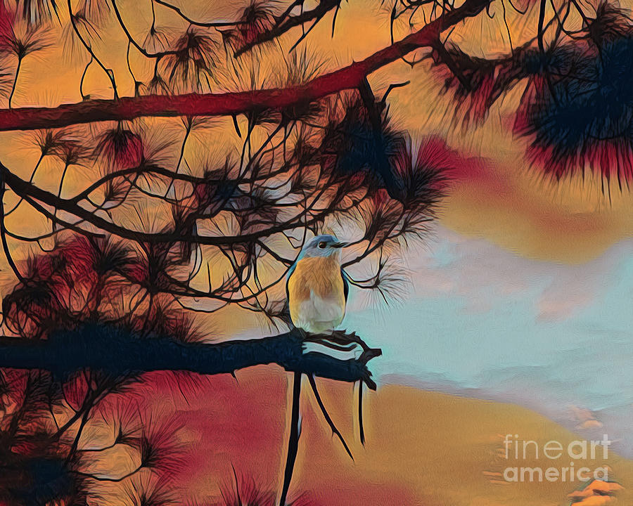 Bird in Tree Photograph by Neala McCarten
