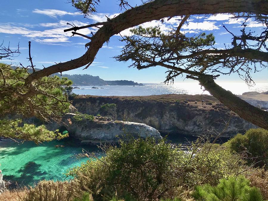 Bird Island Monterey Photograph