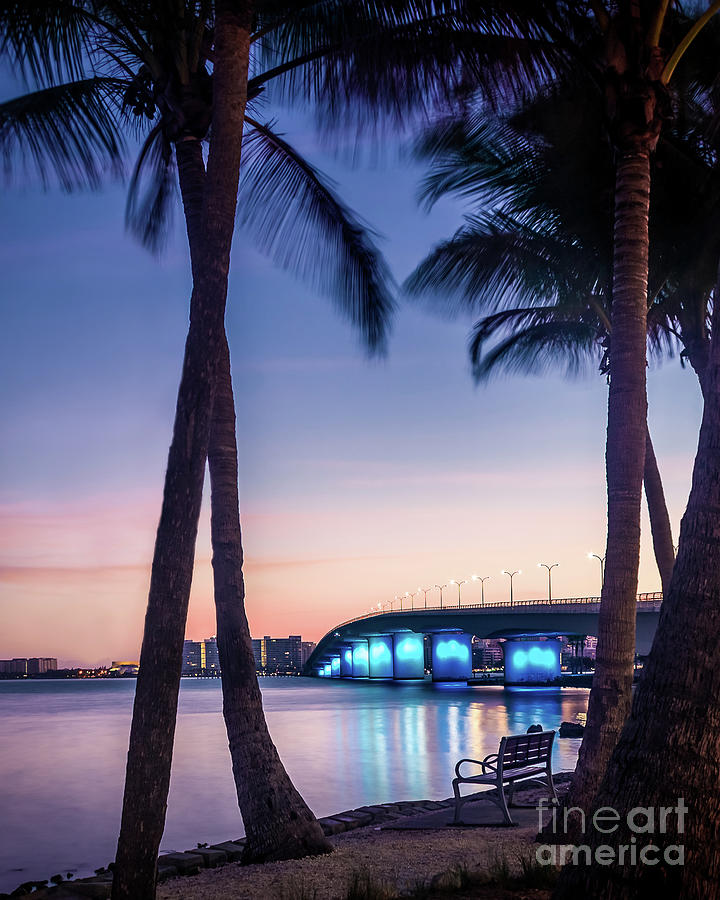 Bird Key, Florida at Sunrise 2 Photograph by Liesl Walsh - Fine Art America