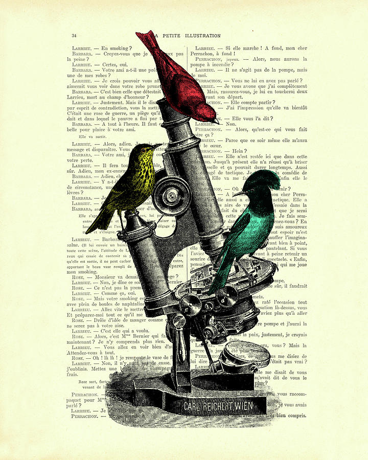 Bird Mixed Media - Bird Microscope by Madame Memento