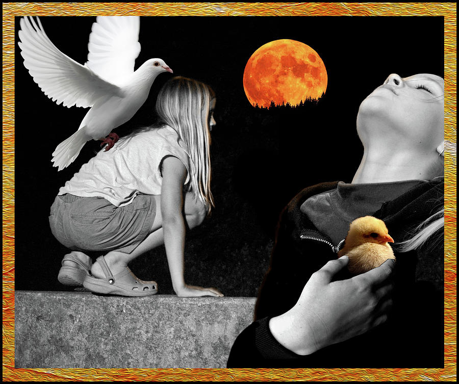 Bird Moon Mixed Media by Lorena Cassady