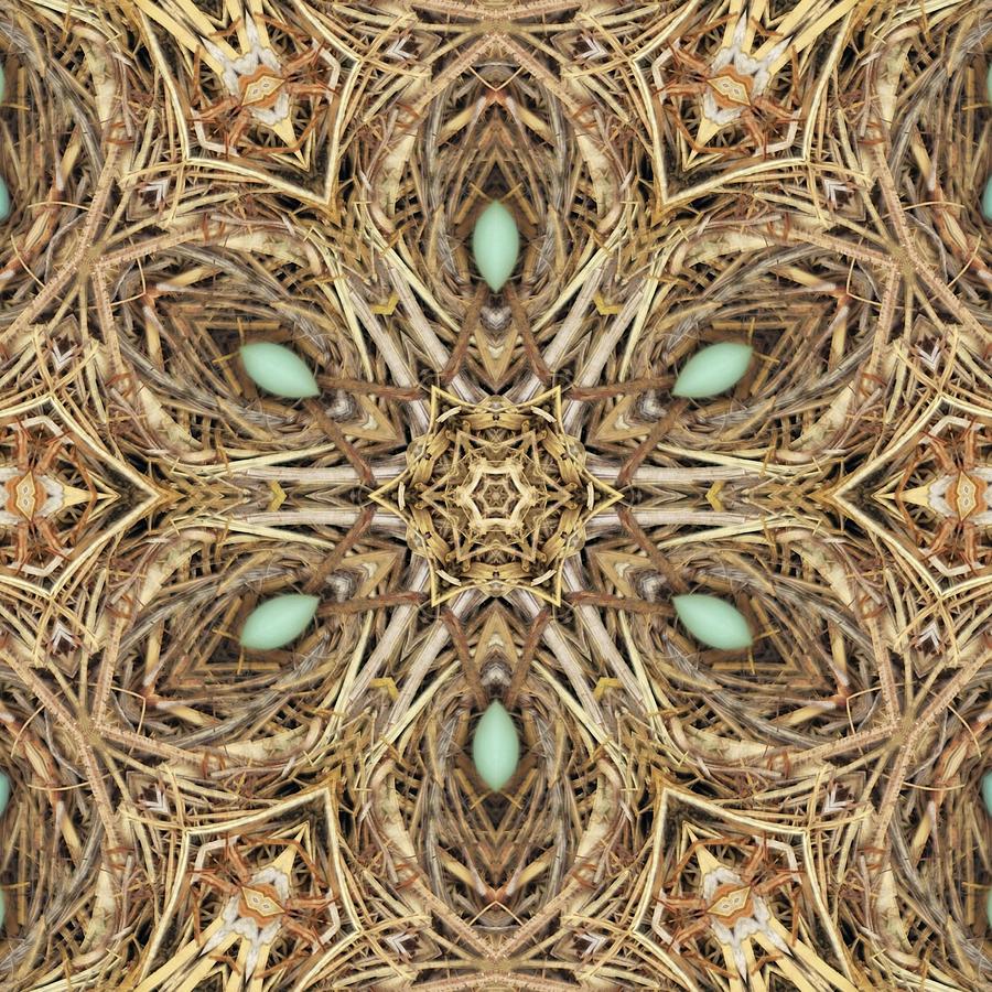 Bird Nest 11 Digital Art by Charlotte Schafer