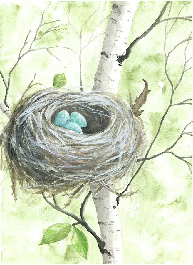 Bird Nest in a Birch Tree by Taphath Foose