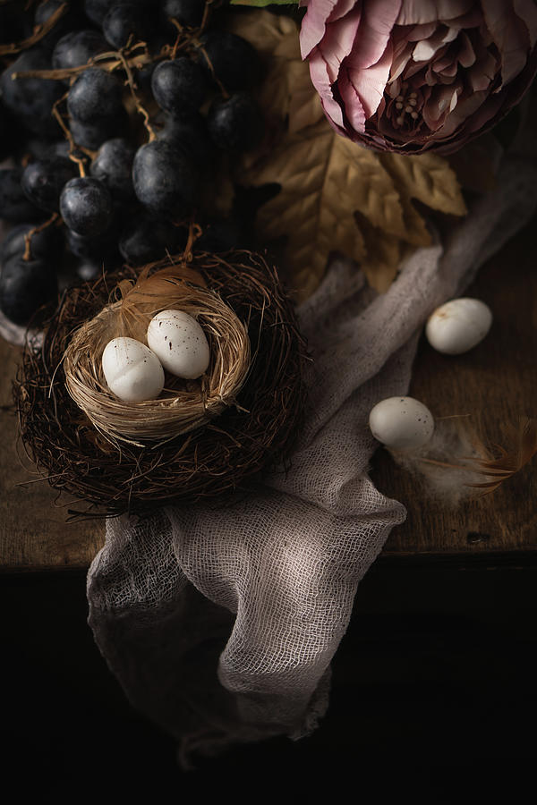 Bird Nest Photograph by Iris Greenwell