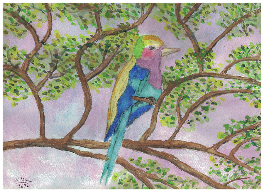 Bird Of Many Colors Drawing