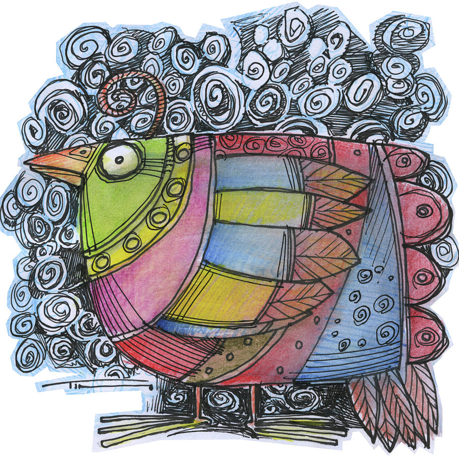 Bird Of Many Colors Drawing by Tim Nyberg