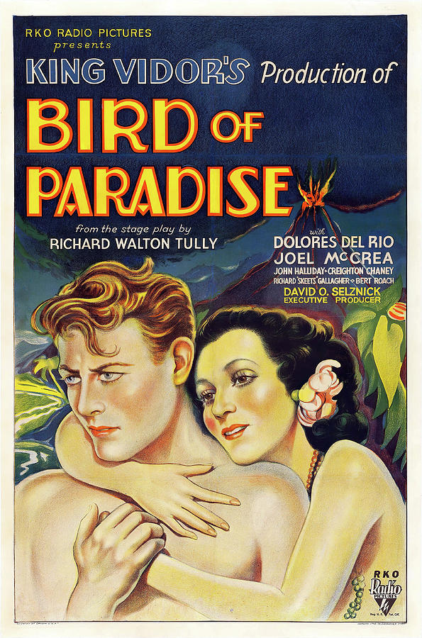  Bird of Paradise, 1932 Mixed Media by Movie World Posters