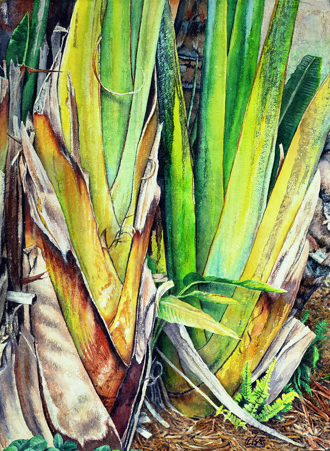 Bird of Paradise 2 Painting by Lisa Tennant