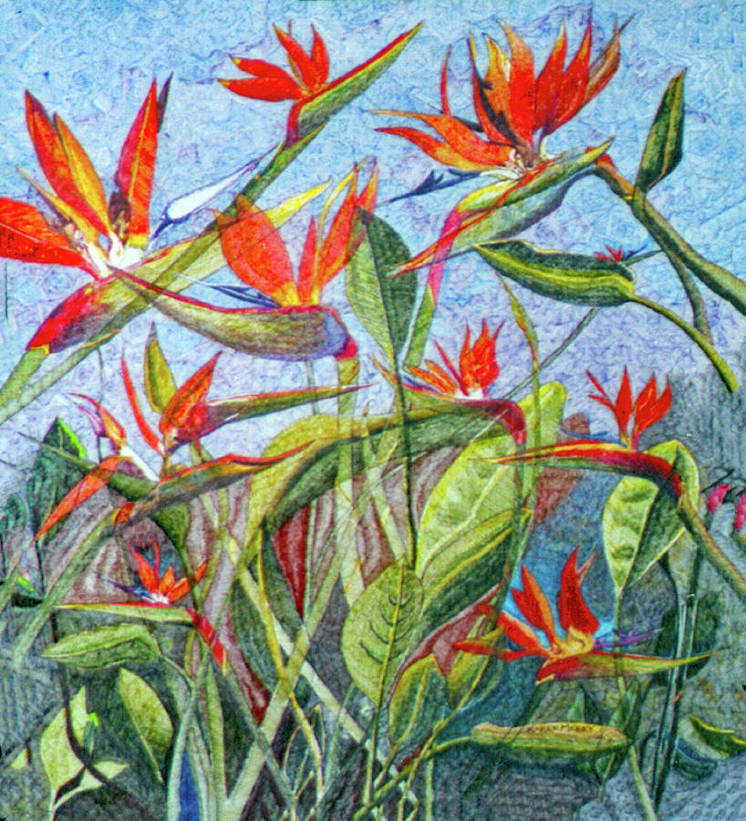 Bird of Paradise - A Study Painting by Karen Merry