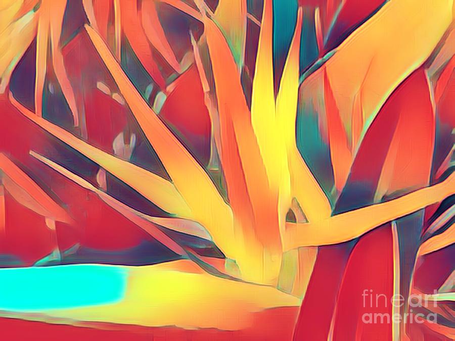 Abstract Photograph - Bird of Paradise Abstract by Gary Richards