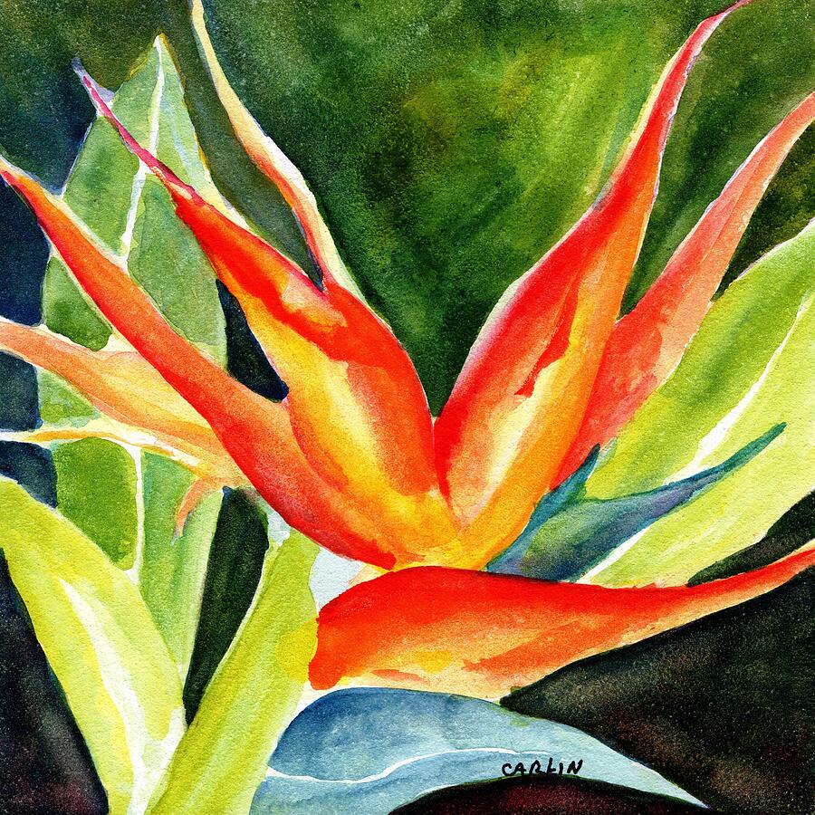 Bird of Paradise  Painting by Carlin Blahnik CarlinArtWatercolor