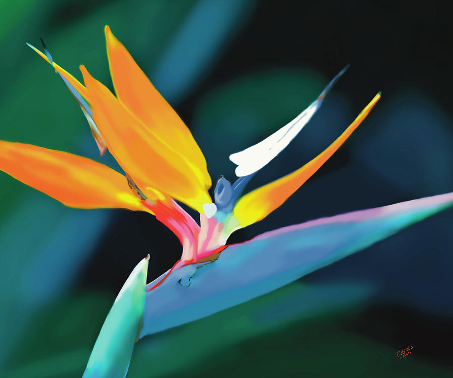 Nature Digital Art - Bird of Paradise by Edgardo Rodriguez
