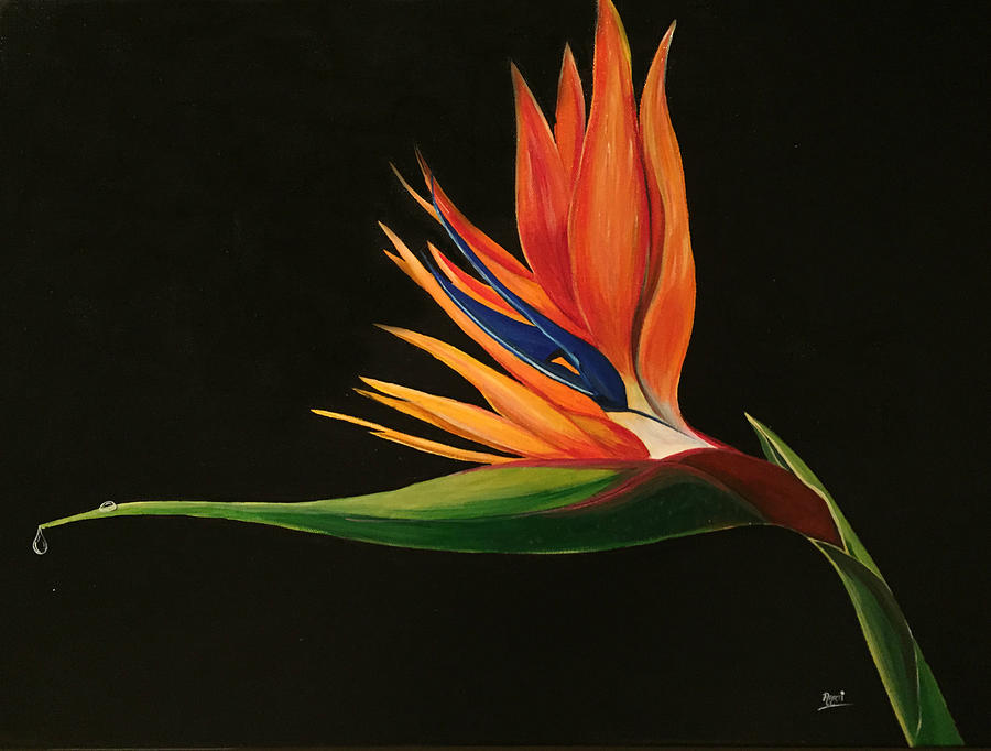 Bird of Paradise Flower Painting by Aarti Bartake