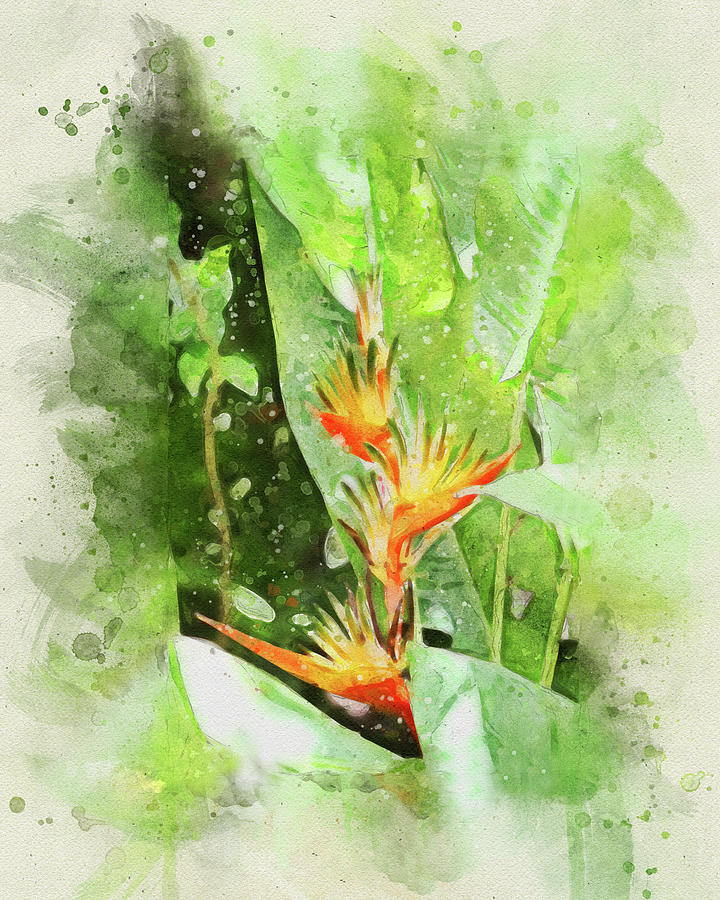 Bird of Paradise Flowers Painting by Peggy Collins