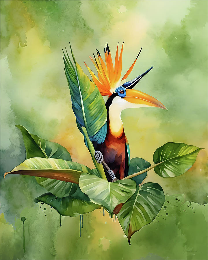 Bird of Paradise Digital Art by Frances Miller