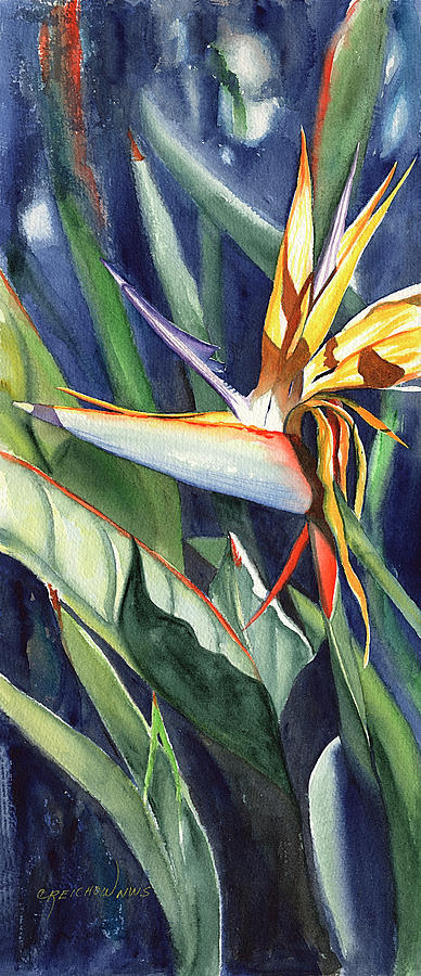 Bird of Paradise II Painting by Christine Reichow - Fine Art America