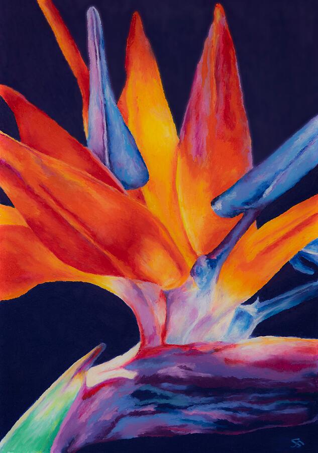 Bird of Paradise III Painting by Stephen Anderson