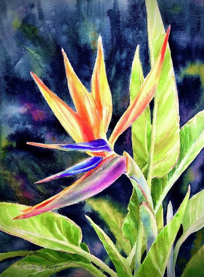 Bird of paradise Painting by Liudmila Bryan