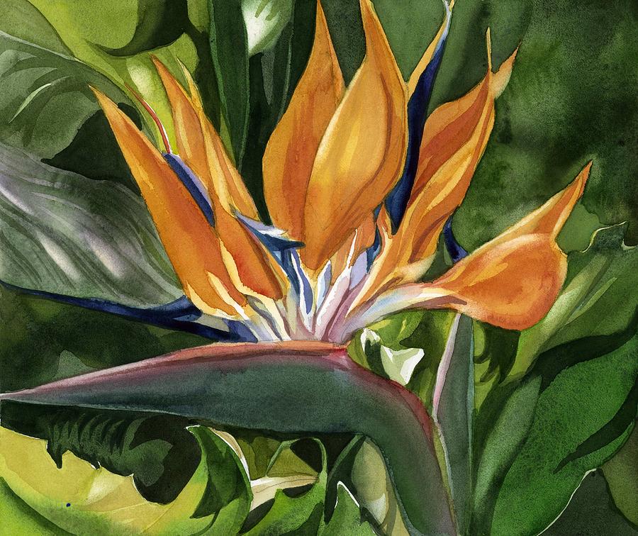 Bird Of Paradise Watercolor Painting by Alfred Ng