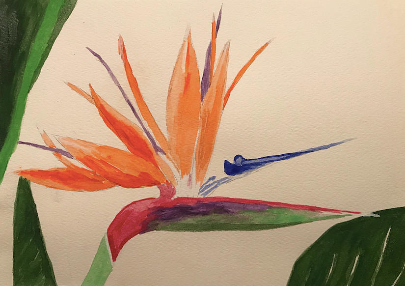 Bird of Paradise Painting by Wendle Josepher Bird of Paradise Painting by Wendle Josepher