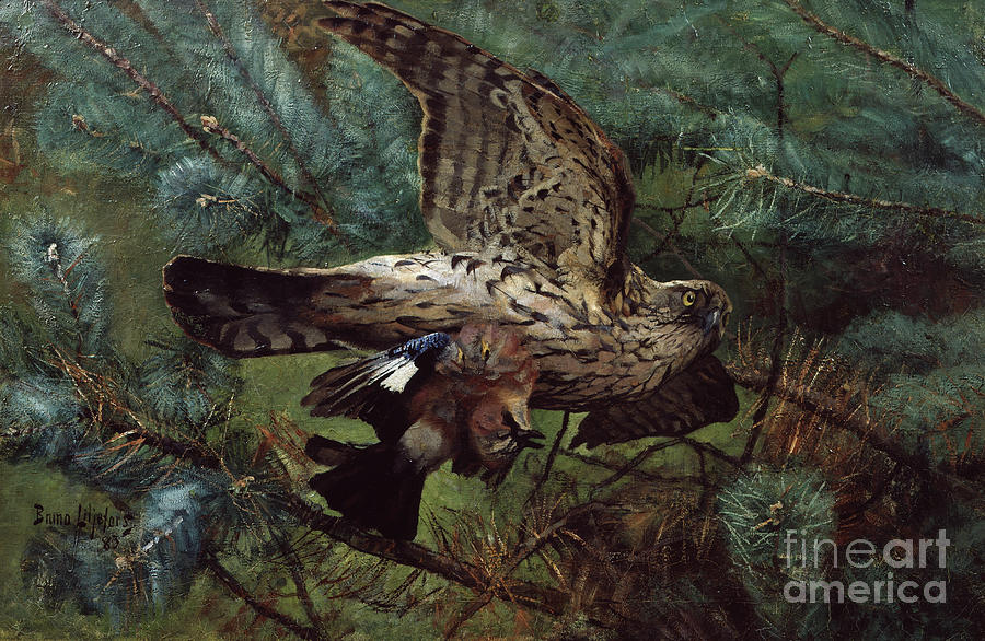 Bird of pray and Eurasian jay, 1883 Painting by O Vaering by Bruno Liljefors