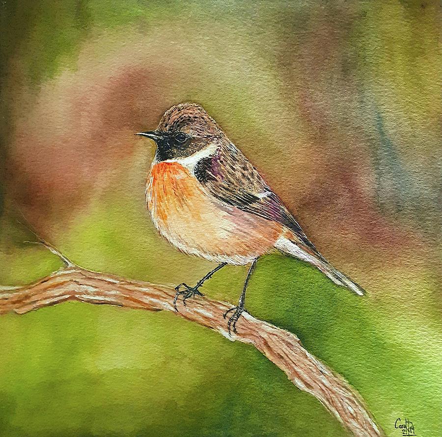 Bird on a branch Painting by Carolina Prieto Moreno